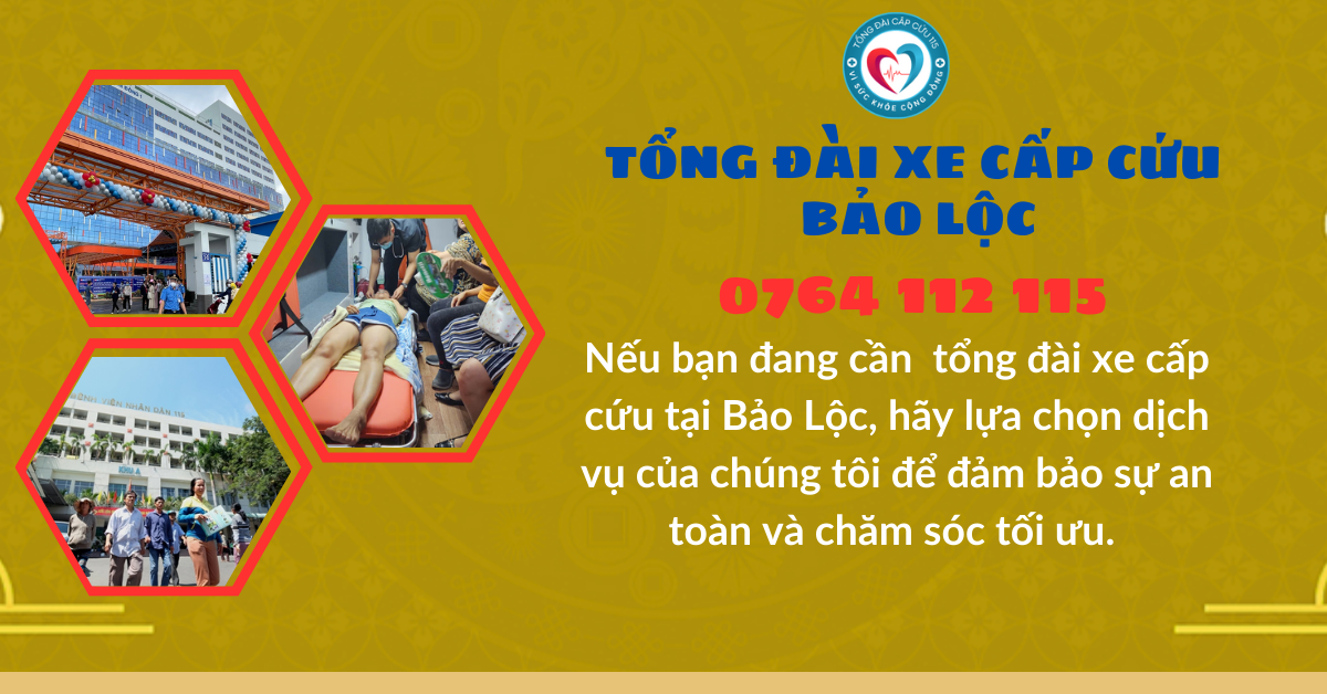 tổng đài xe cấp cứu tại Bảo Lộc hotline 0764 112 115