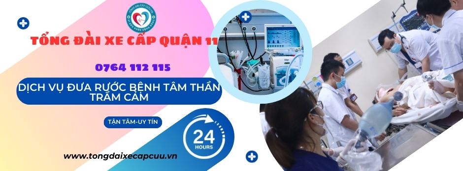 xe cấp cứu quận 11, TP Hồ Chí Minh 0764 112 115