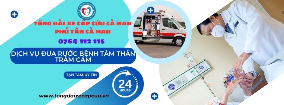 Dịch vụ cho thuê xe cấp cứu huyện Phú Tân, Cà Mau